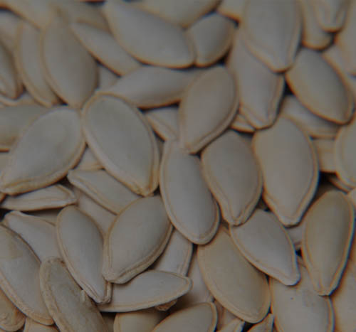 Pumpkin seeds