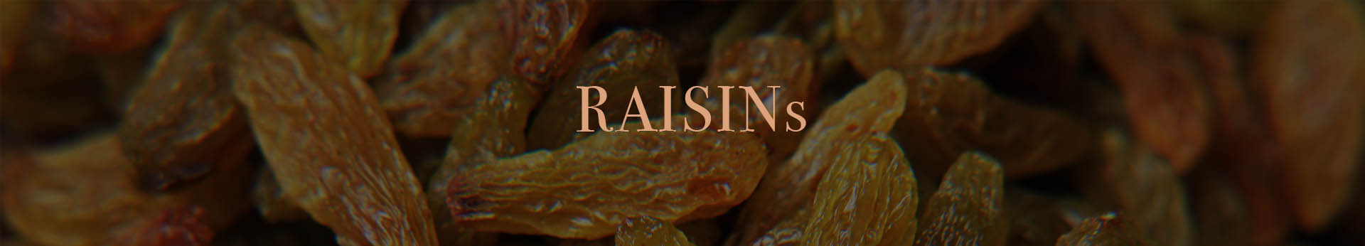 RAISINs