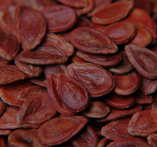 seeds-تخمه1